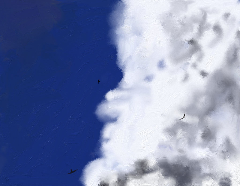 Digital Painting of Swifts in a cloudy sky